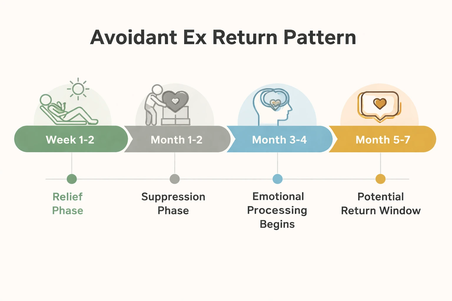 Timeline showing the typical avoidant ex return pattern over 6 months
